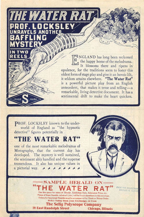 The Water Rat (1913) poster