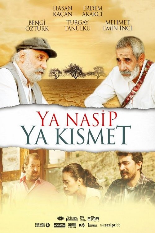 Ya Nasip Ya Kısmet (2015) poster