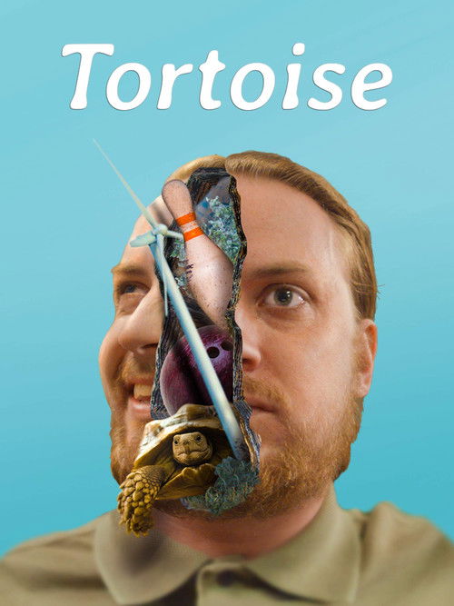 Tortoise (2018) poster