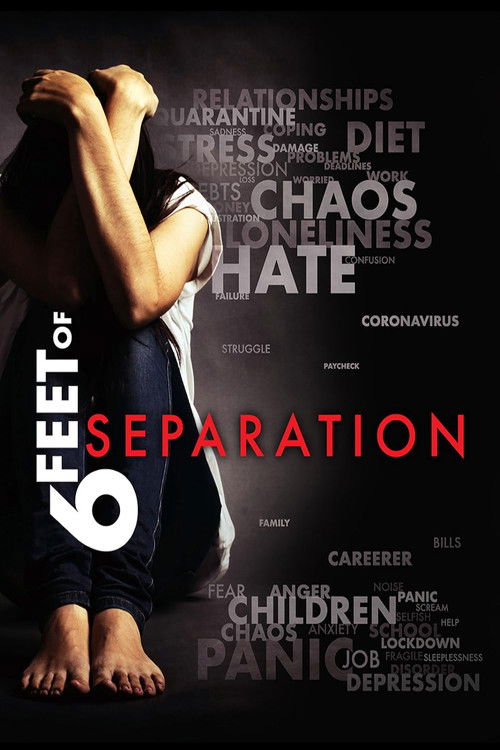 Six feet of separation (2020) poster