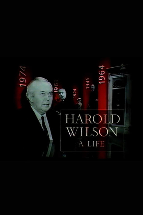 Harold Wilson: A Life (1995) poster