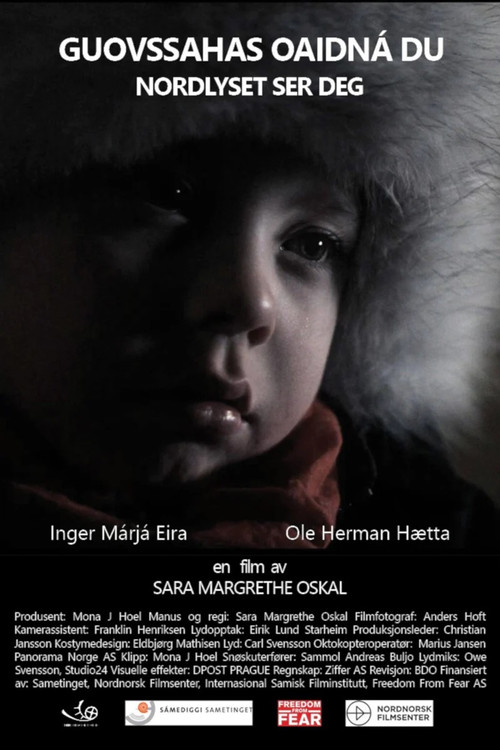 Aurora Keeps an Eye On You (2015) poster