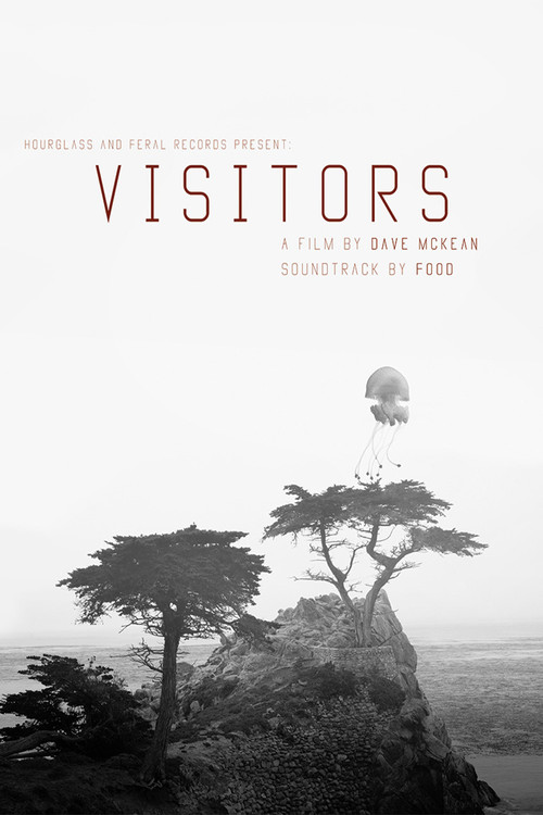 Visitors (2017) poster
