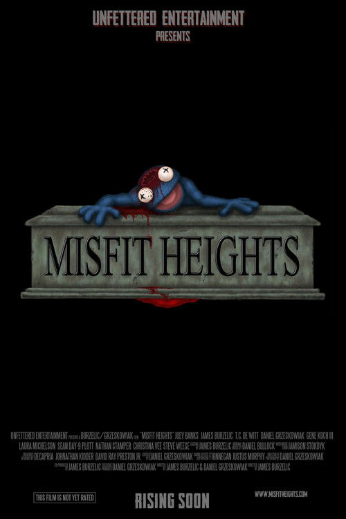 Misfit Heights (2013) poster