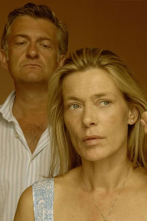 Charlotte Link – Der fremde Gast (2007) poster