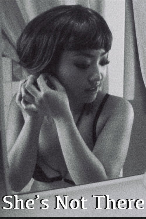 She’s Not There (2011) poster