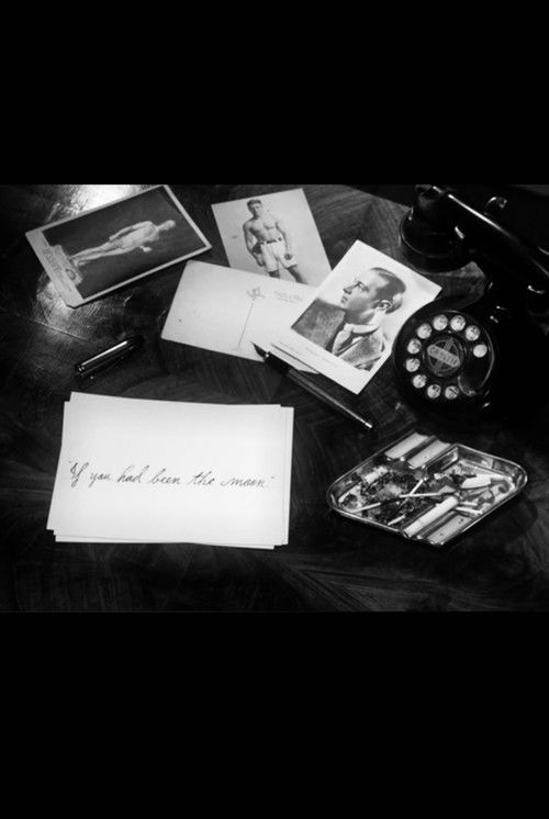 If You Had Been the Moon (2009) poster