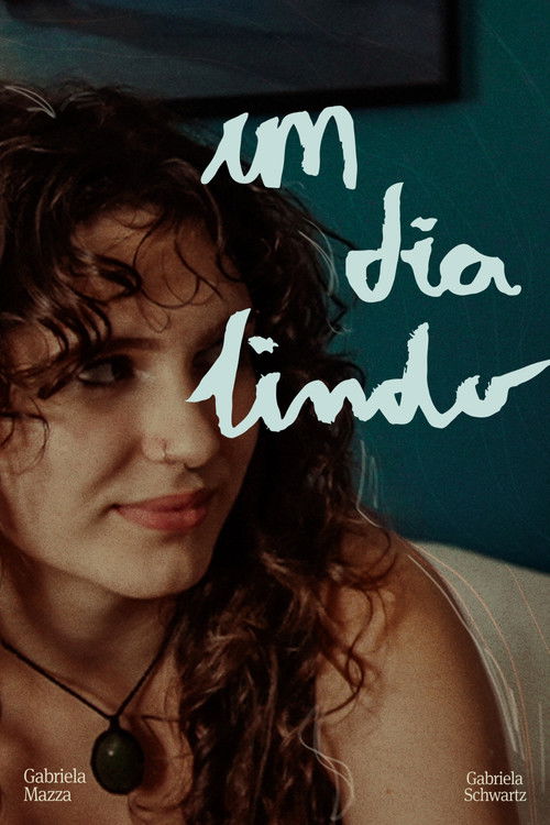 Um Dia Lindo (2025) poster