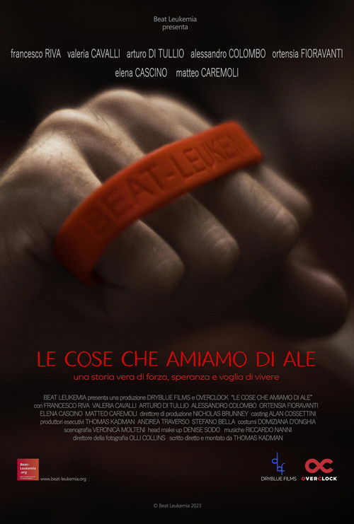 Le cose che amiamo di Ale (2022) poster