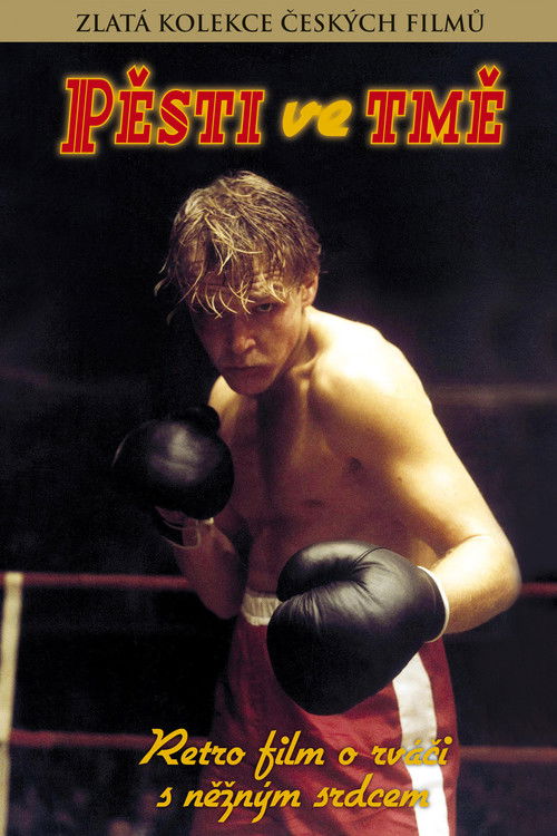 Pěsti ve tmě (1987) poster