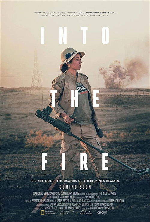 Into the Fire (2019) poster
