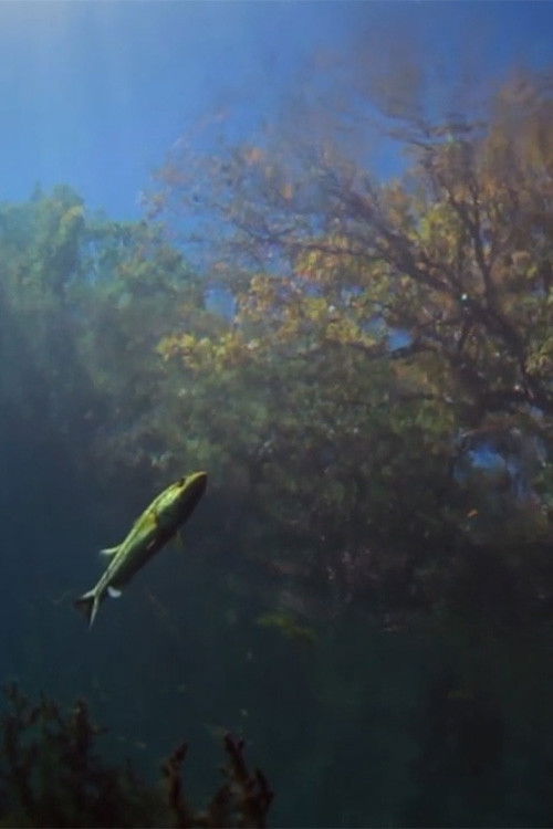 Yakona (2014) poster