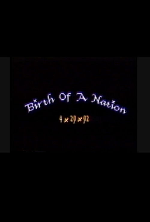 Birth of a Nation: 4.29.92 (1993) poster