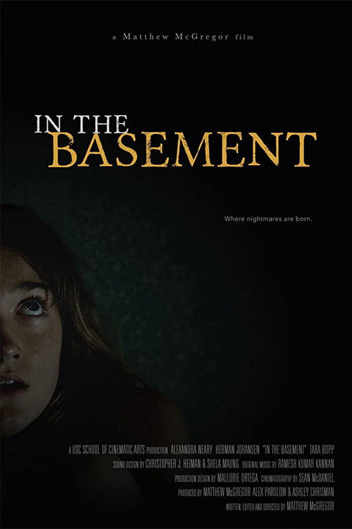 In the Basement (2015) poster