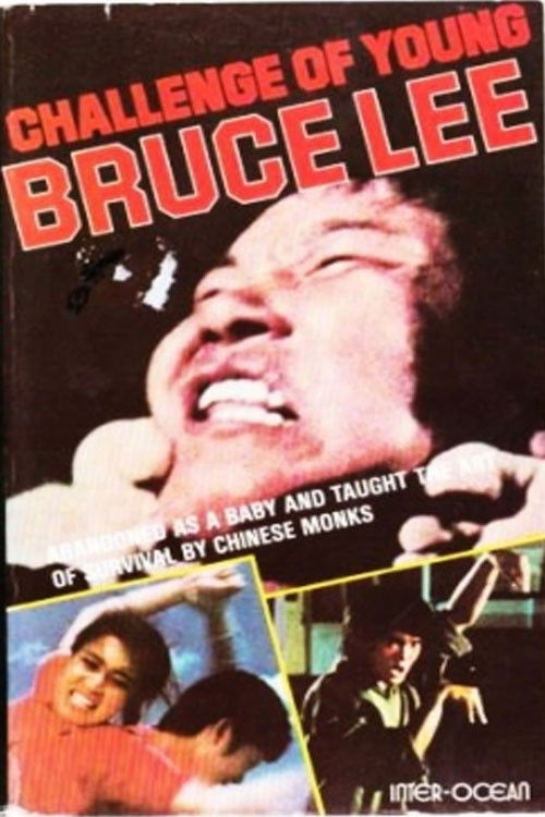 Challenge of Young Bruce Lee (1978) poster