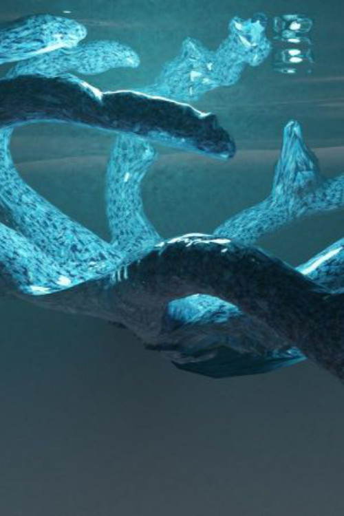 QC-2020 (2021) poster