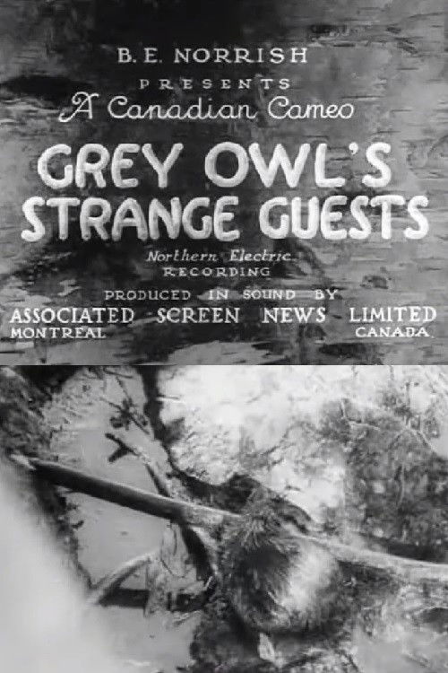 Grey Owl's Strange Guests (1934) poster