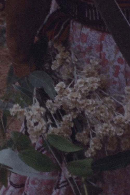 Por dentro somos color (2024) poster