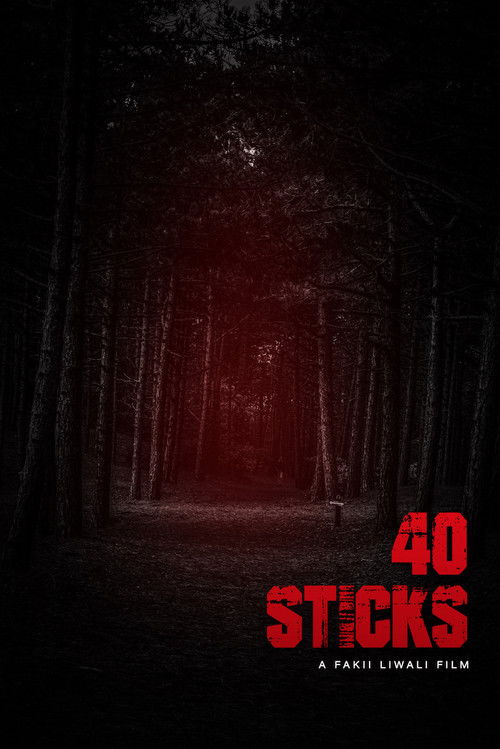 40 Sticks (2020) poster