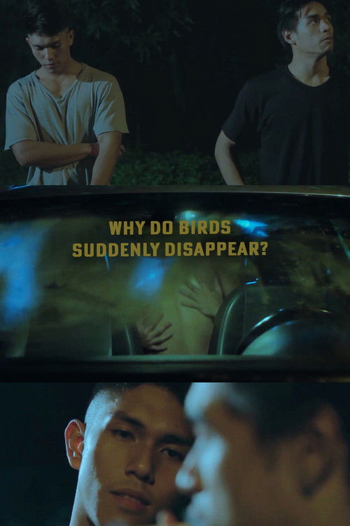 Why Do Birds Suddenly Disappear? (2019) poster