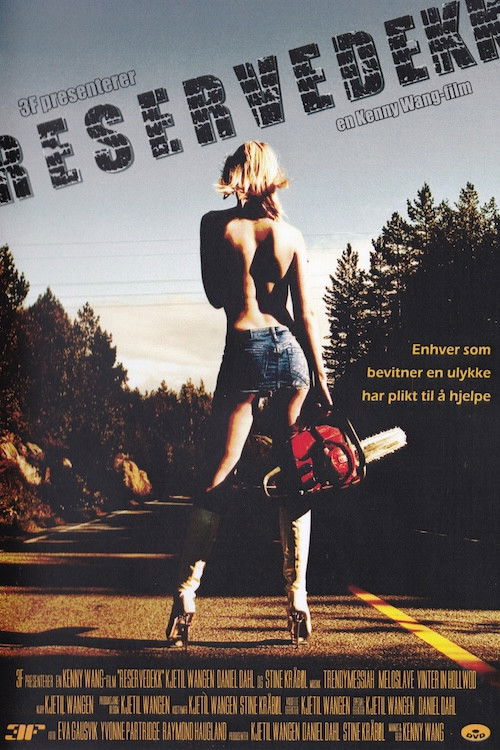 Spare Tyre (2011) poster