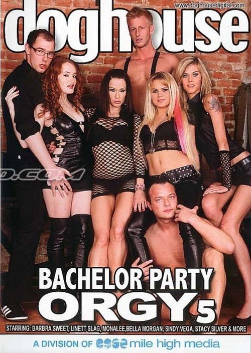 Bachelor Party Orgy 5 (2012) poster