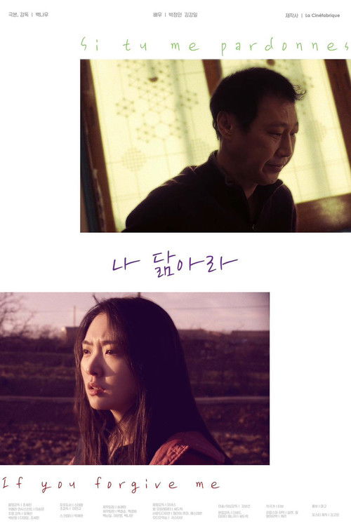 Si tu me pardonnes poster
