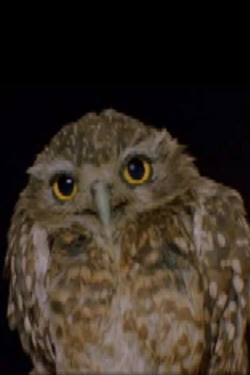 Lechuza (2009) poster