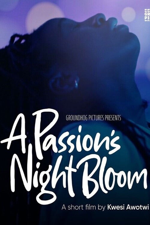 A Passion's Night Bloom (2025) poster