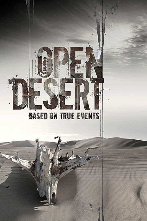Open Desert (2013) poster