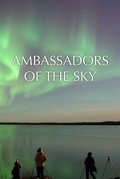 Ambassadors of the Sky (2016) poster