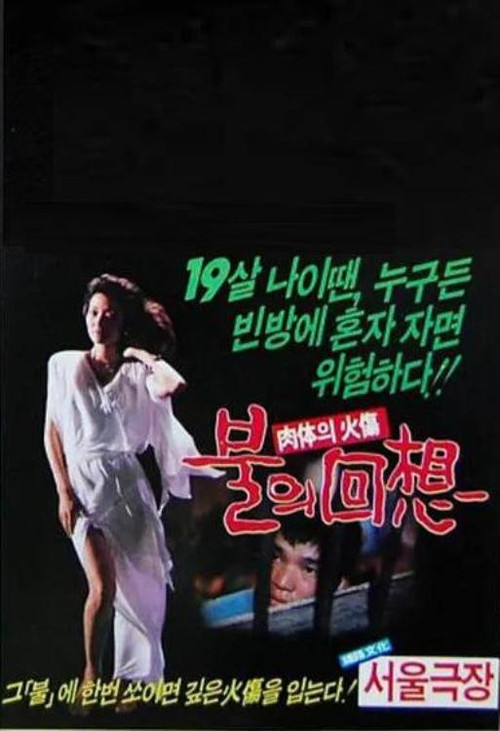 Reminiscent Flame (1985) poster