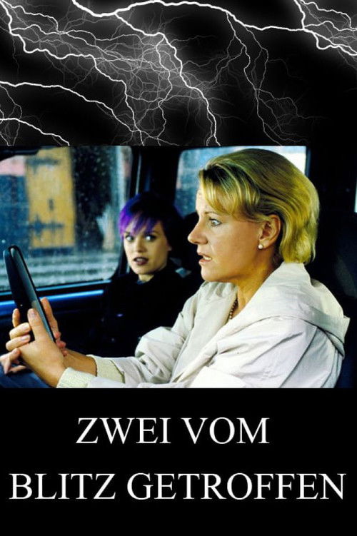 Zwei vom Blitz getroffen (2000) poster