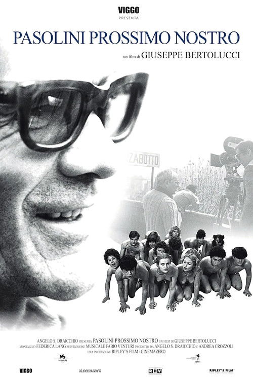 Pasolini prossimo nostro (2006) poster