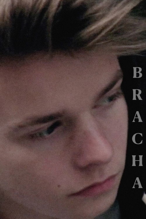 Brother (2015) poster