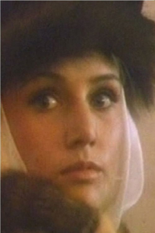 Vilkaču mantiniece (1991) poster