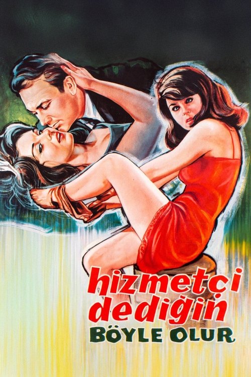 Hizmetçi Dediğin Böyle Olur (1964) poster