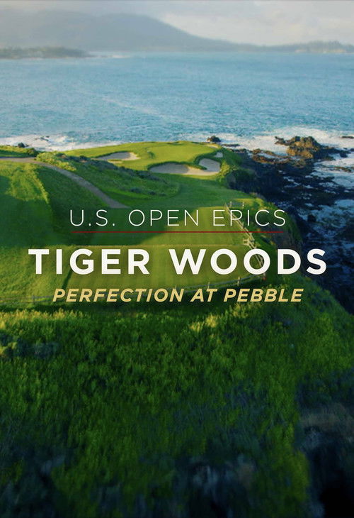 U.S. Open Epics: Tiger Woods: Perfection at Pebble Beach (2019) poster
