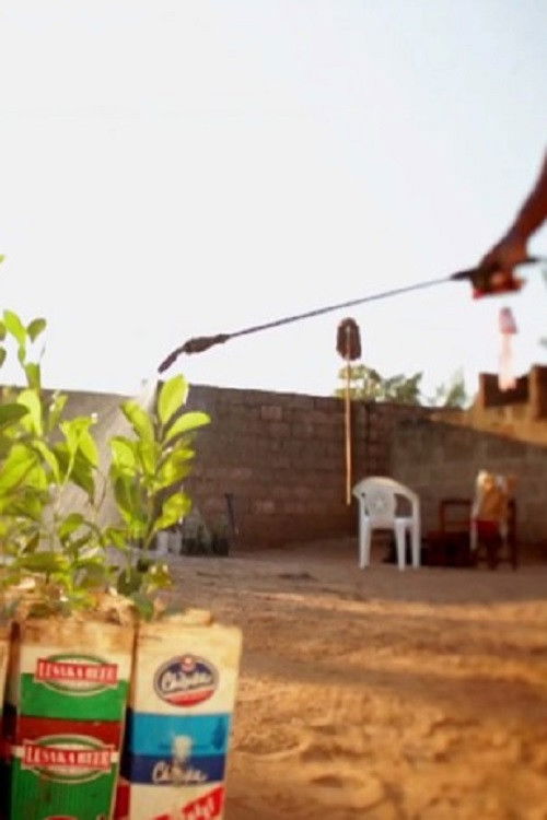 Amazing Grace (2013) poster