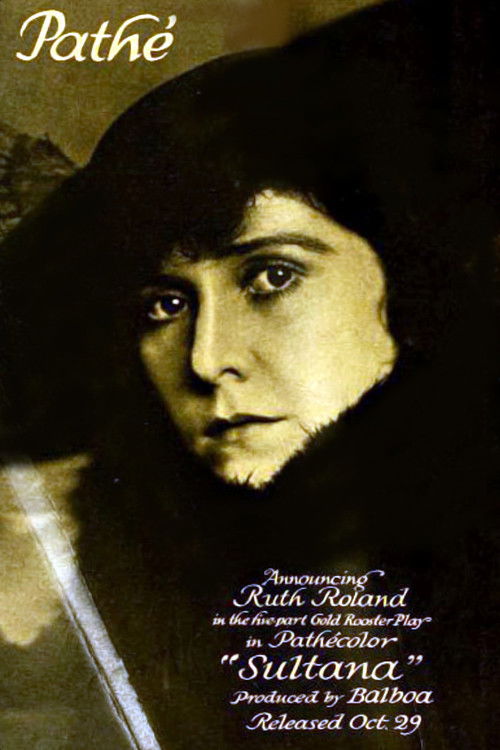 The Sultana (1916) poster