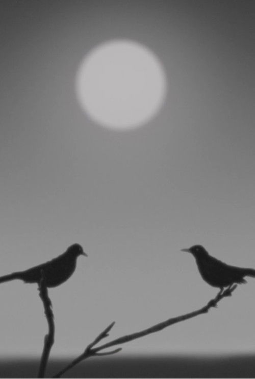 Birdsong (2023) poster