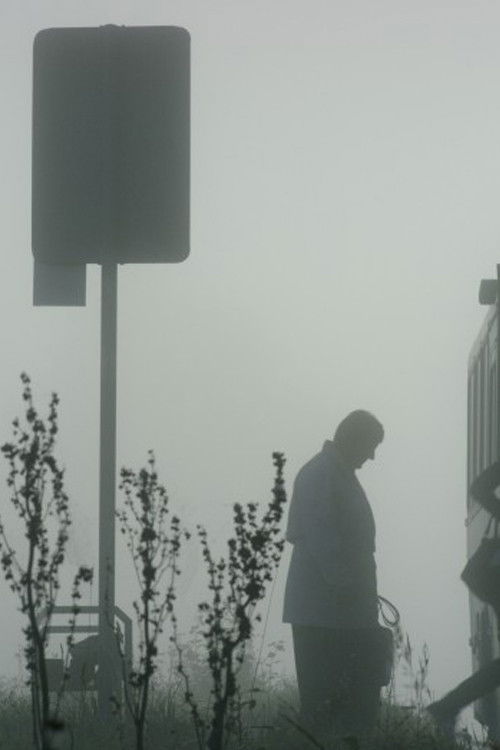 Hello, Horse! (2017) poster