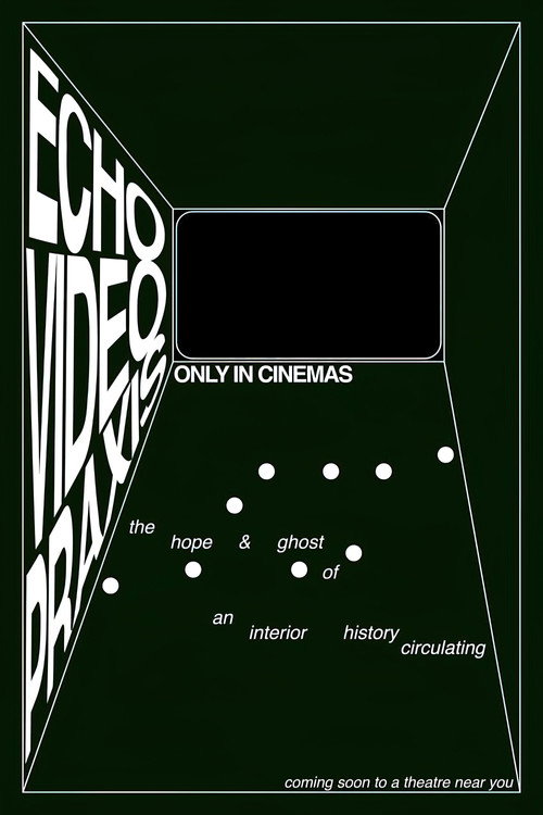 ECHOVIDEOPRAXIS: the hope & ghost of an interior history circulating (2022) poster