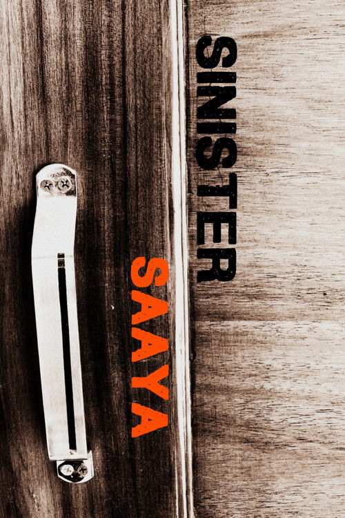 सिनिस्टर साया (2025) poster