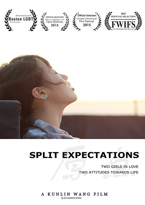 Split Expectations (2014) poster