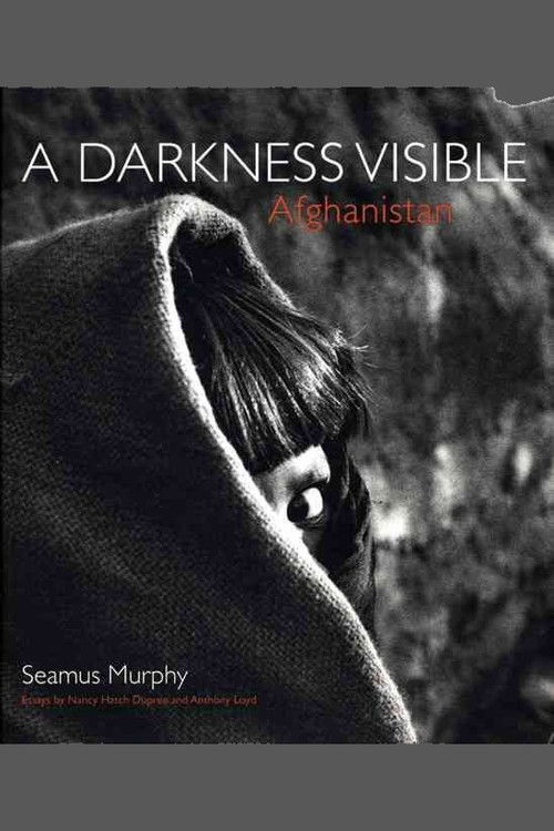 A Darkness Visable: Afghanistan (2011) poster