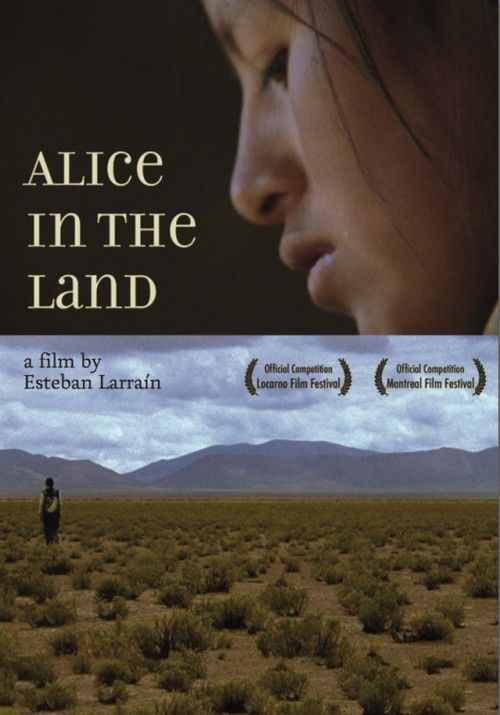 Alicia en el país (2008) poster
