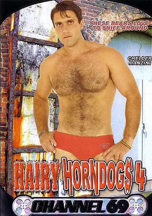 Hairy Horndogs 4 (2008) poster