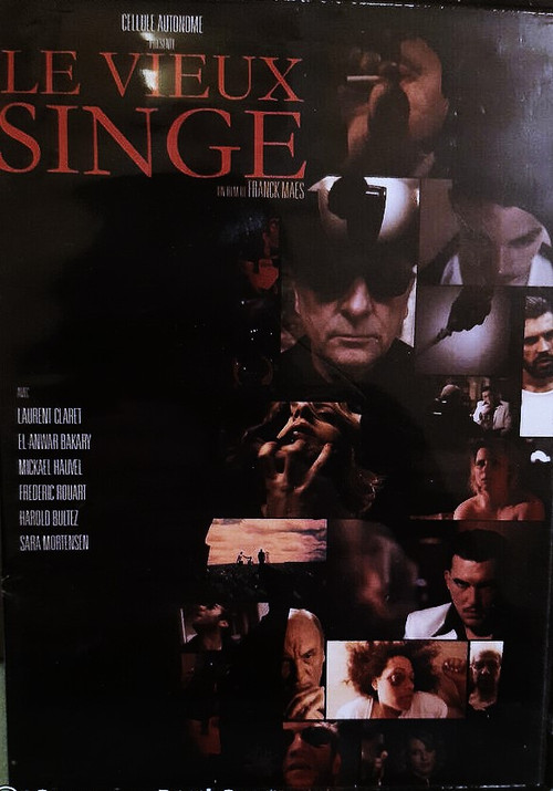 Le Vieux Singe (2012) poster