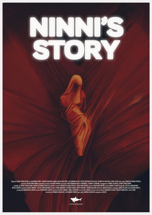 Ninni's Story (2024) poster